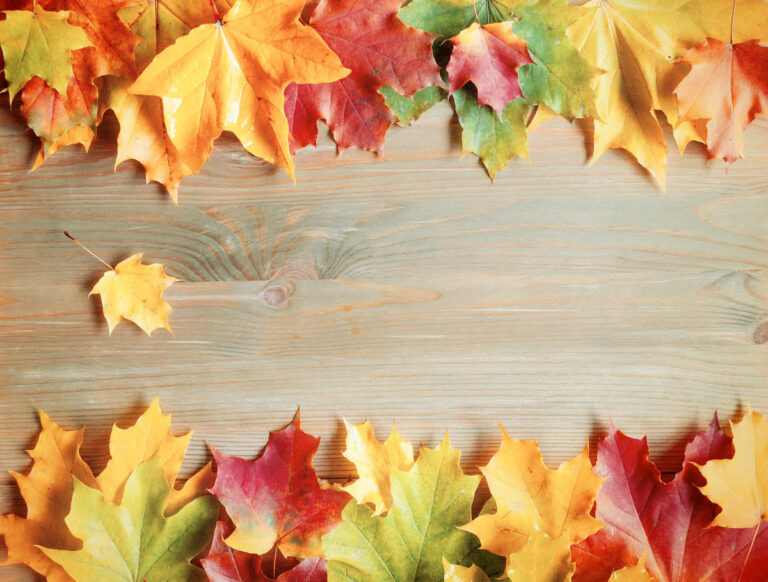 Express Entry раунд № 103